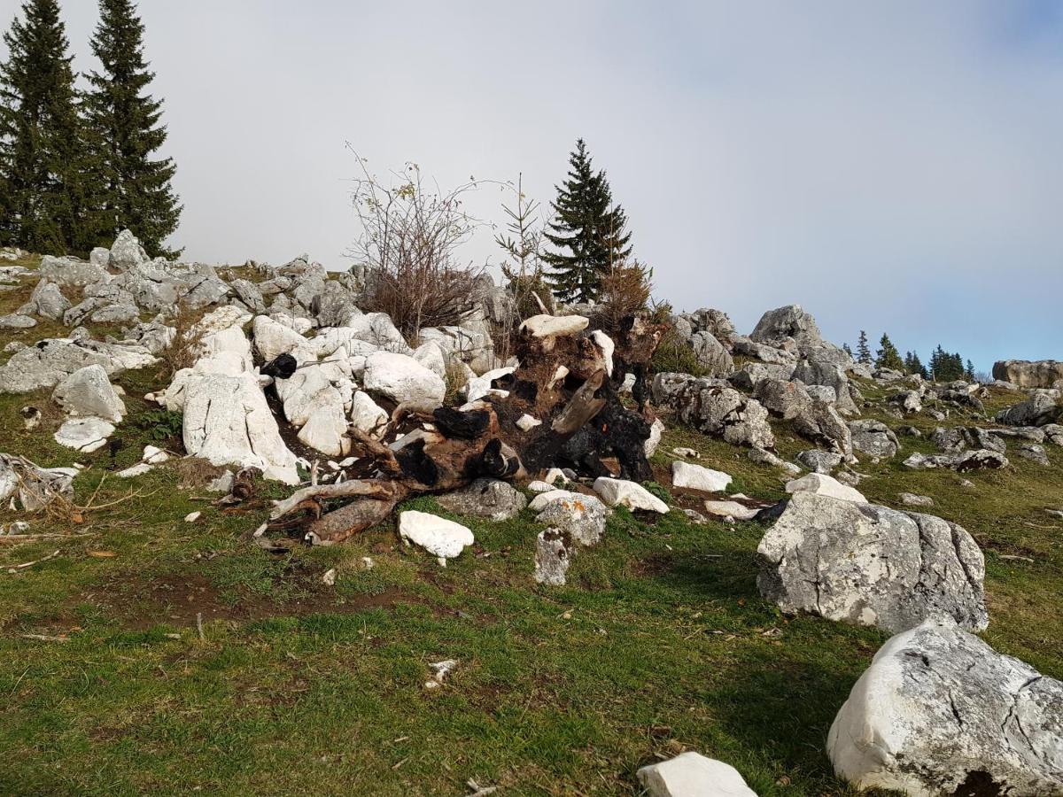 Zărneşti Pensiunea Casa Zarnesteana מראה חיצוני תמונה